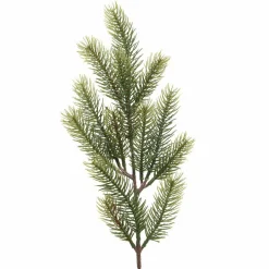 Branche de sapin (52 cm) Omorika Vert