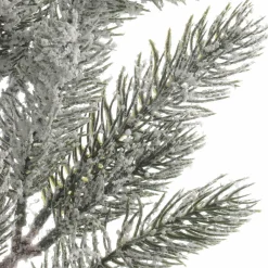 Branche de sapin (52 cm) Omorika Vert enneigé