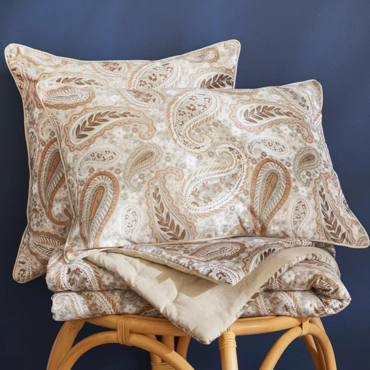 Coussin rectangulaire velours (40 x 60 cm) Dolores Beige