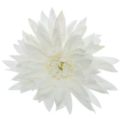 Fleur décorative sur pince (D15 cm) Dahlia Blanc pailleté