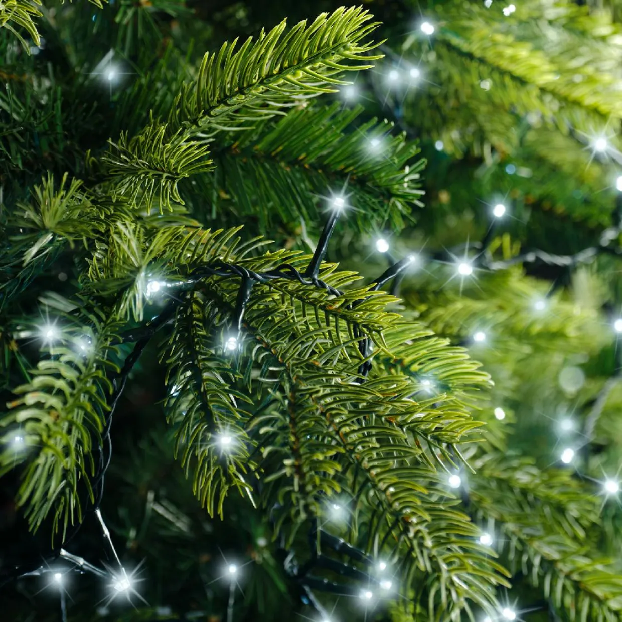 Guirlande lumineuse 22,50 m 1000 LED câble vert Luxe Blanc froid