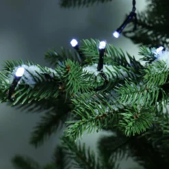 Guirlande lumineuse à piles 1,70 m 24 LED câble noir Durawise Blanc froid