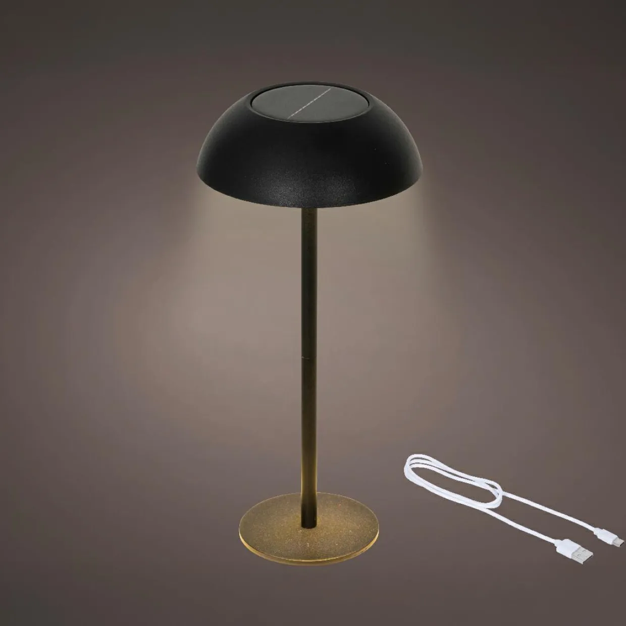Lampe de table solaire LED (H33 cm) Malibu Noir