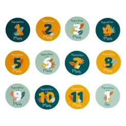 Lot de 12 cartes étapes bébé carton (10 cm) Mois Multicolore