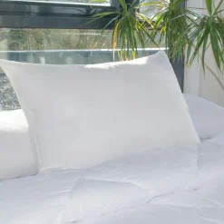 Lot de 2 oreillers rectangulaires (45 x 70 cm) Moelleux Anti-acariens Blanc