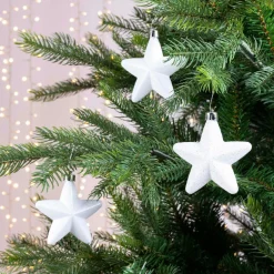 Lot de 6 étoiles de Noël à  suspendre (H7 cm) Alpine Blanc