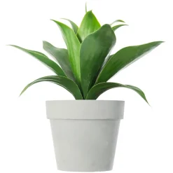 Plante artificielle (H34 cm) Aloe vera