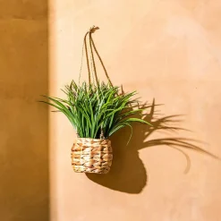 Plante artificielle suspendue dans pot tressé (H27 cm) Moda Costa