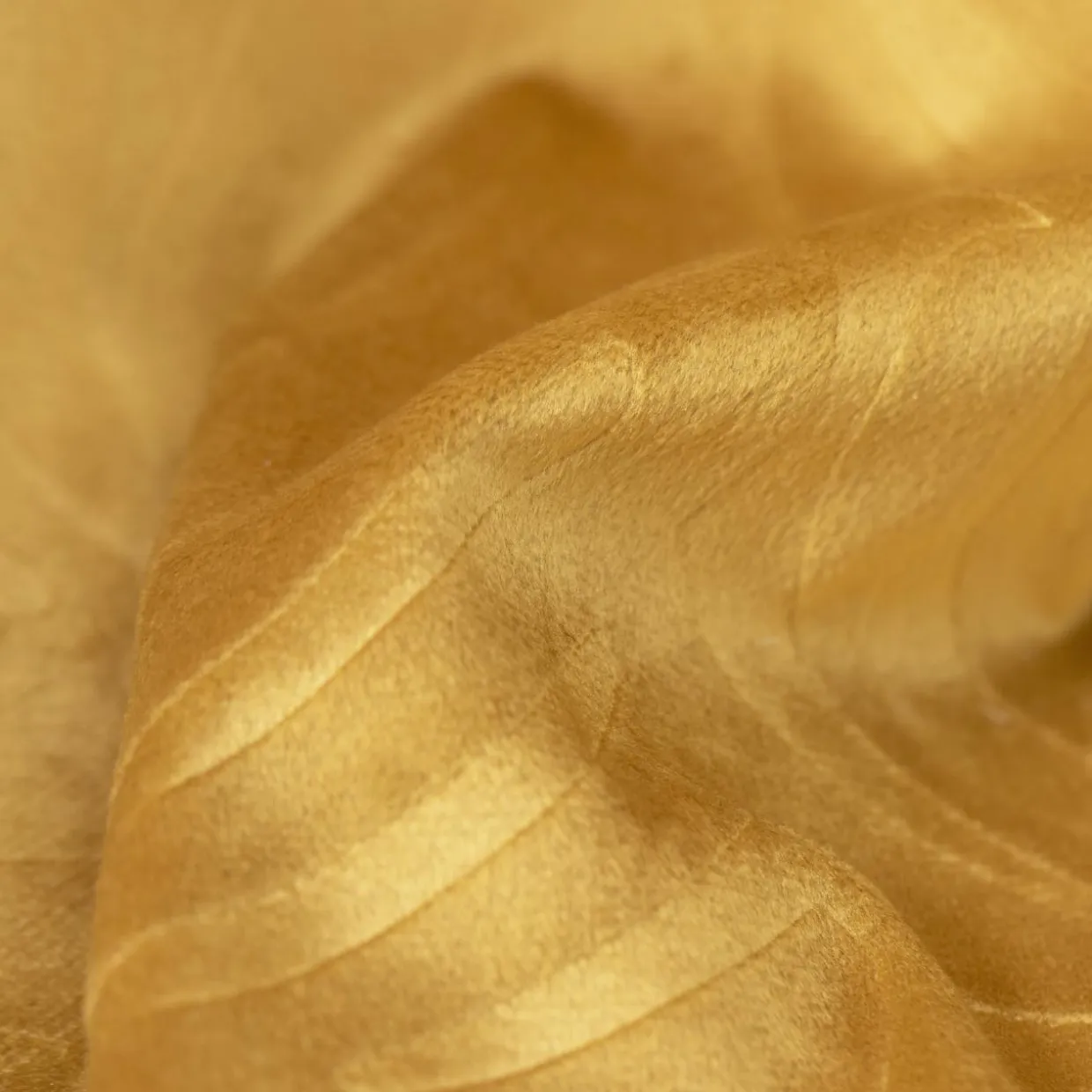 Rideau obscurcissant velours (140 x 280 cm) Fern Jaune ocre