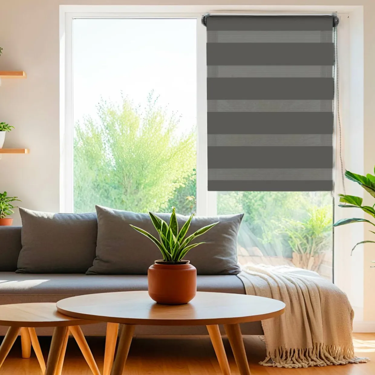 Store enrouleur Jour / Nuit (45 x 250 cm) Gris anthracite